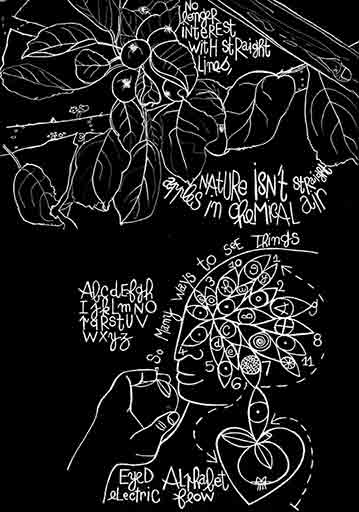 tournesol fbr tournesol